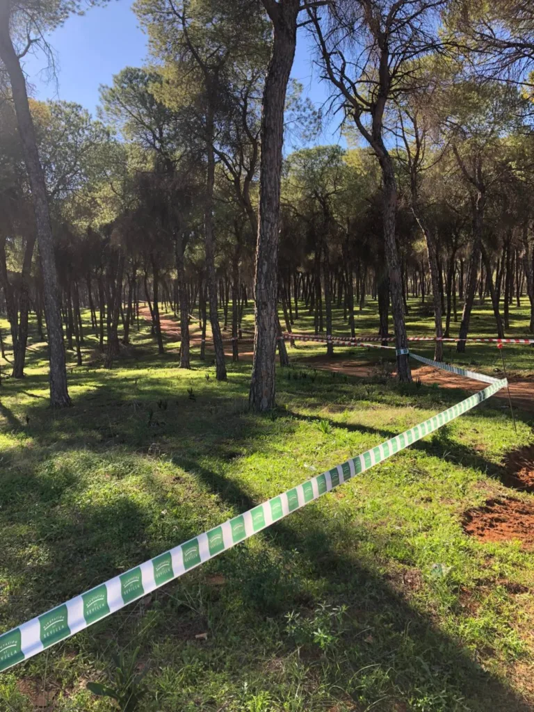 Manuel Ángel Guijarro, noveno en el Campeonato de Andalucía de Campo a través M65