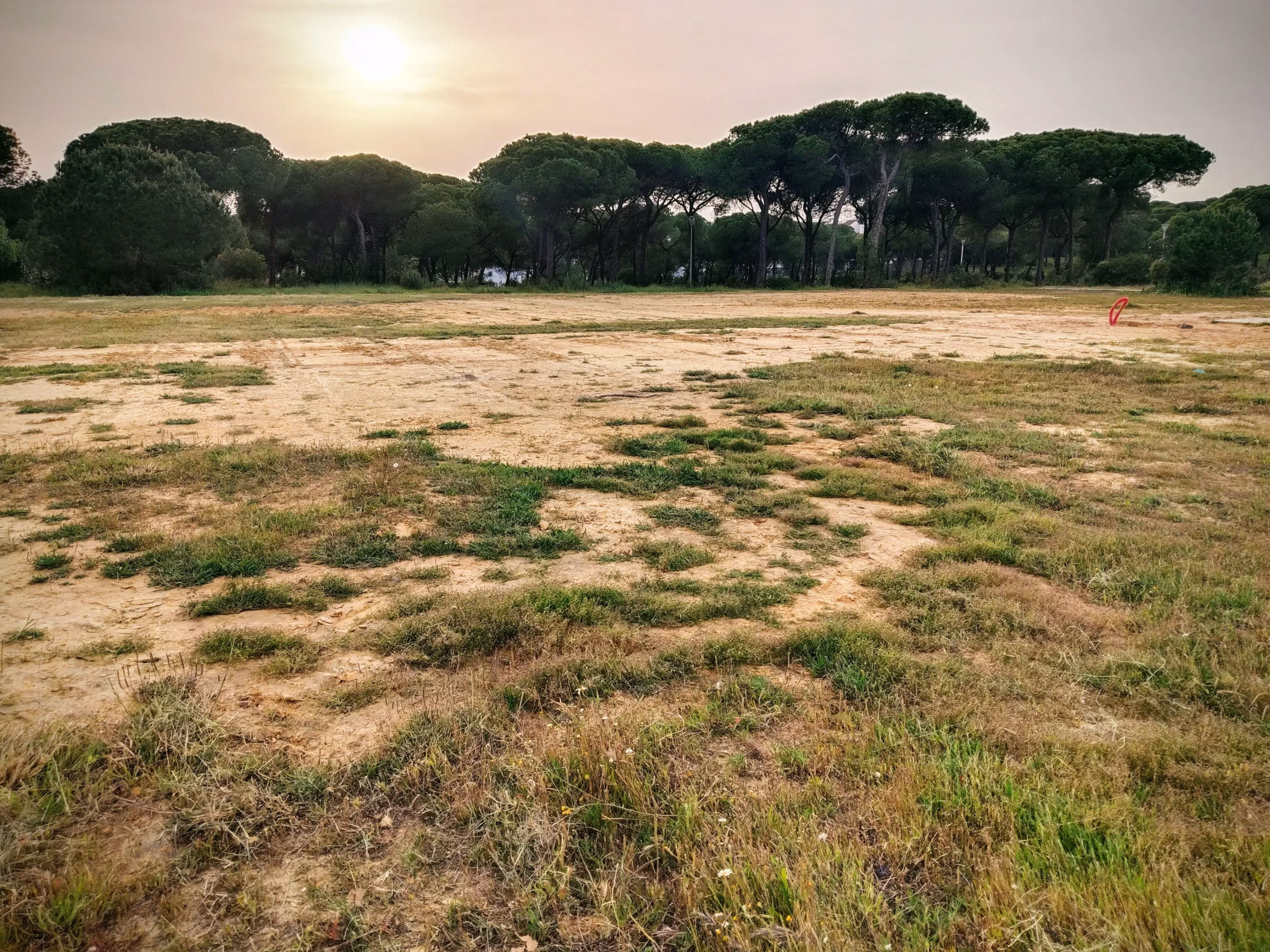 El Ayuntamiento de Cartaya hace realidad el sueño de nuestro Club