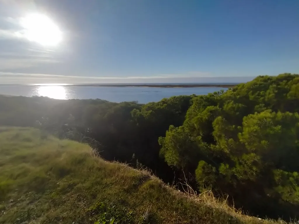 ¿Dónde correr en El Rompido y Nuevo Portil? Las 4 mejores rutas running de Cartaya